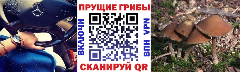 Псилоцибиновые грибы ЛСД  Бахчисарай 
